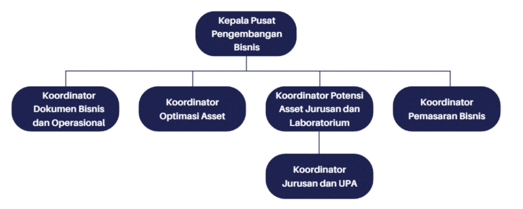 Struktur Organisasi PPB Polban